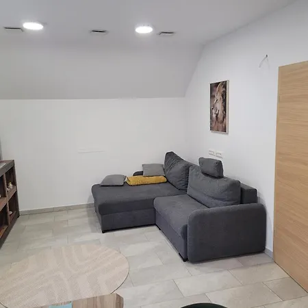 Leisure Kranj